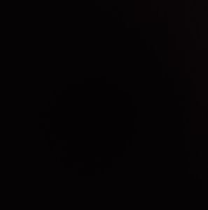 Meet your Posher, Dylan